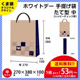 【送料無料】ホワイトデー用の手提げ袋 ハッピーチェック 青色【たて型 中サイズ】