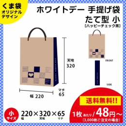 【送料無料】ホワイトデー用の手提げ袋 ハッピーチェック 青色【たて型 小サイズ】