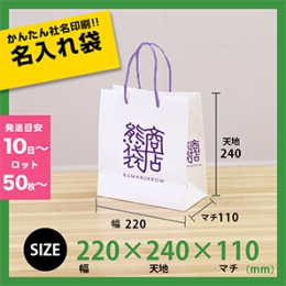【名入れ紙袋】【送料無料】 オリジナル手提げ袋 [小物入れB] [社名印刷][店舗名印刷]